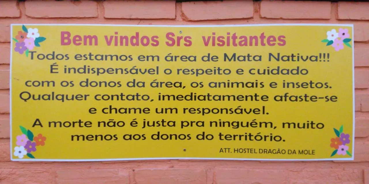 Locanda Surf Hostel Dragao Da Praia Mole Florianópolis